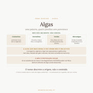 Algas em cosmética — as quatro famílias e o que fazem mesmo