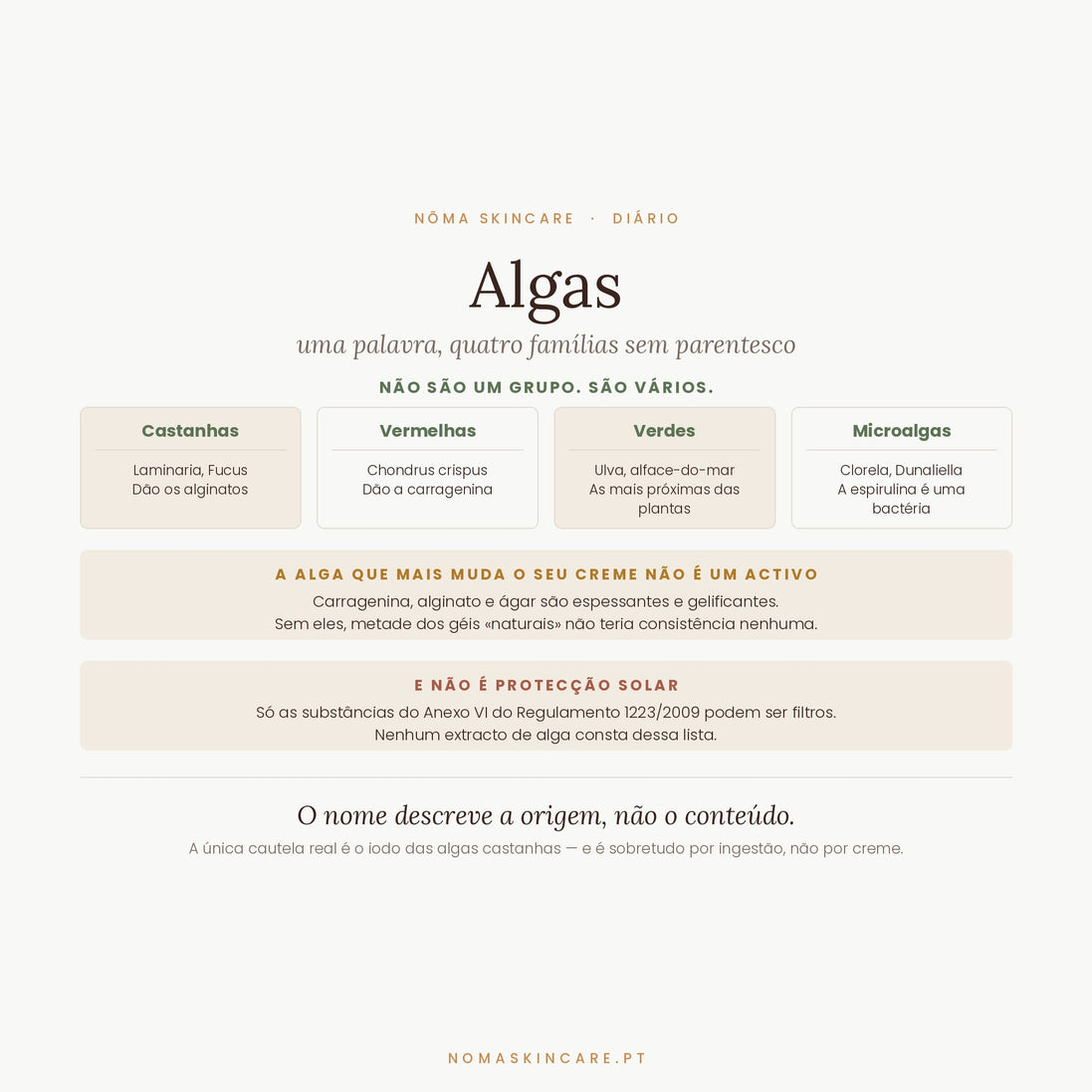 Algas em cosmética — as quatro famílias e o que fazem mesmo