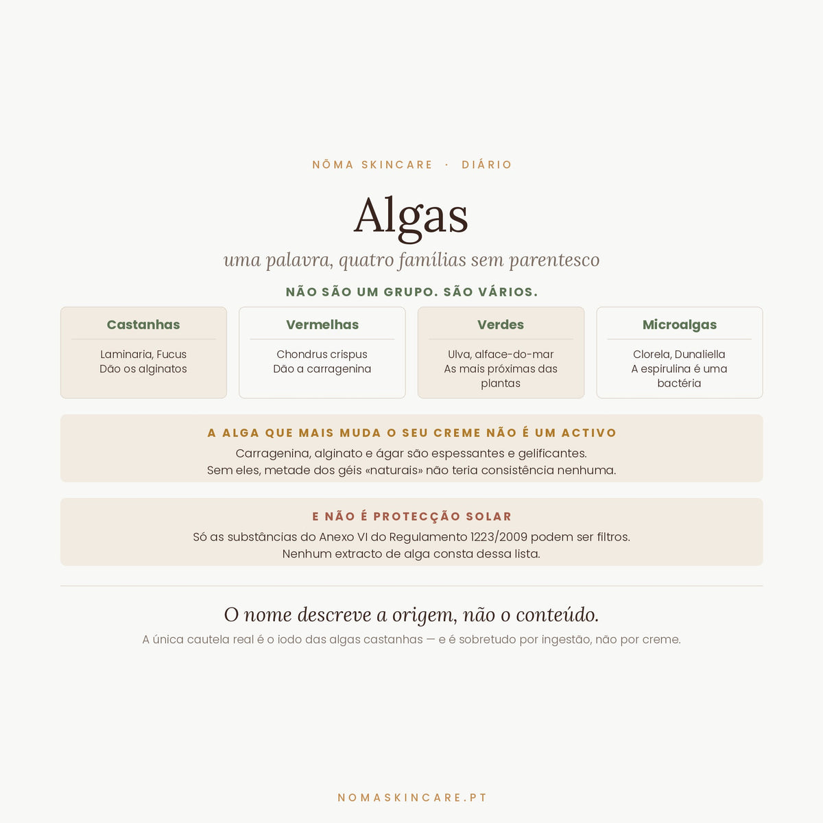 Algas em cosmética — as quatro famílias e o que fazem mesmo