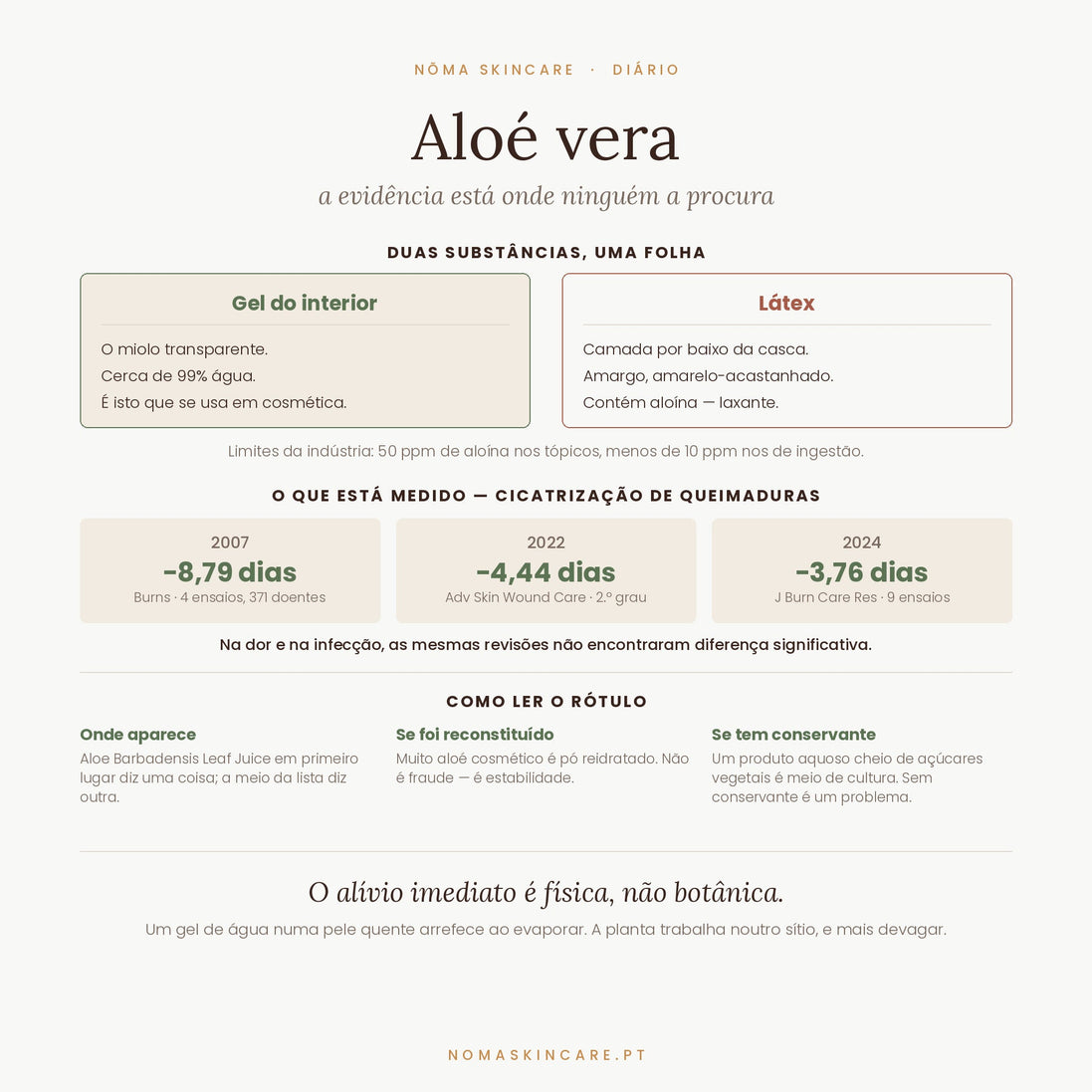Aloé vera — o gel, o látex, e o que está medido na cicatrização de queimaduras