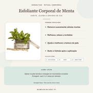 Benefícios e modo de uso — Esfoliante Corporal de Menta com Karité, Jojoba e Óleo de Grainha de Uva · Vegan Fox Cosmetics