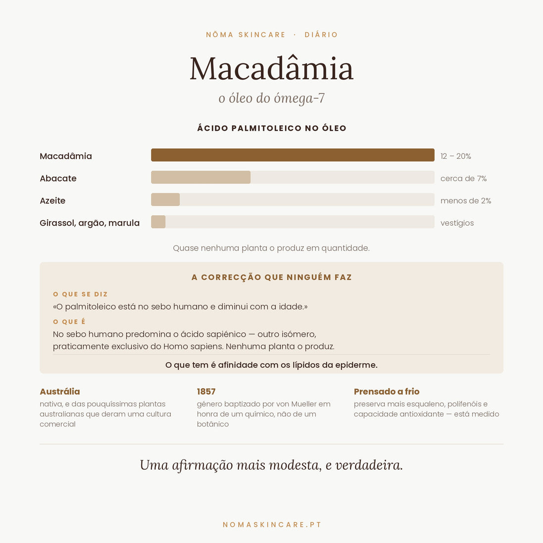 Ácido palmitoleico no óleo de macadâmia — 12 a 20%, mais do que qualquer óleo vegetal comum
