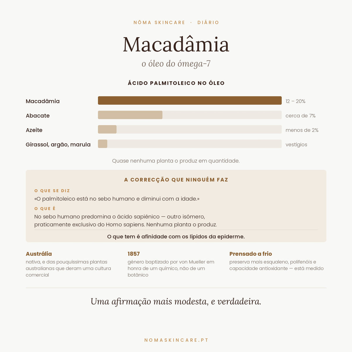 Ácido palmitoleico no óleo de macadâmia — 12 a 20%, mais do que qualquer óleo vegetal comum