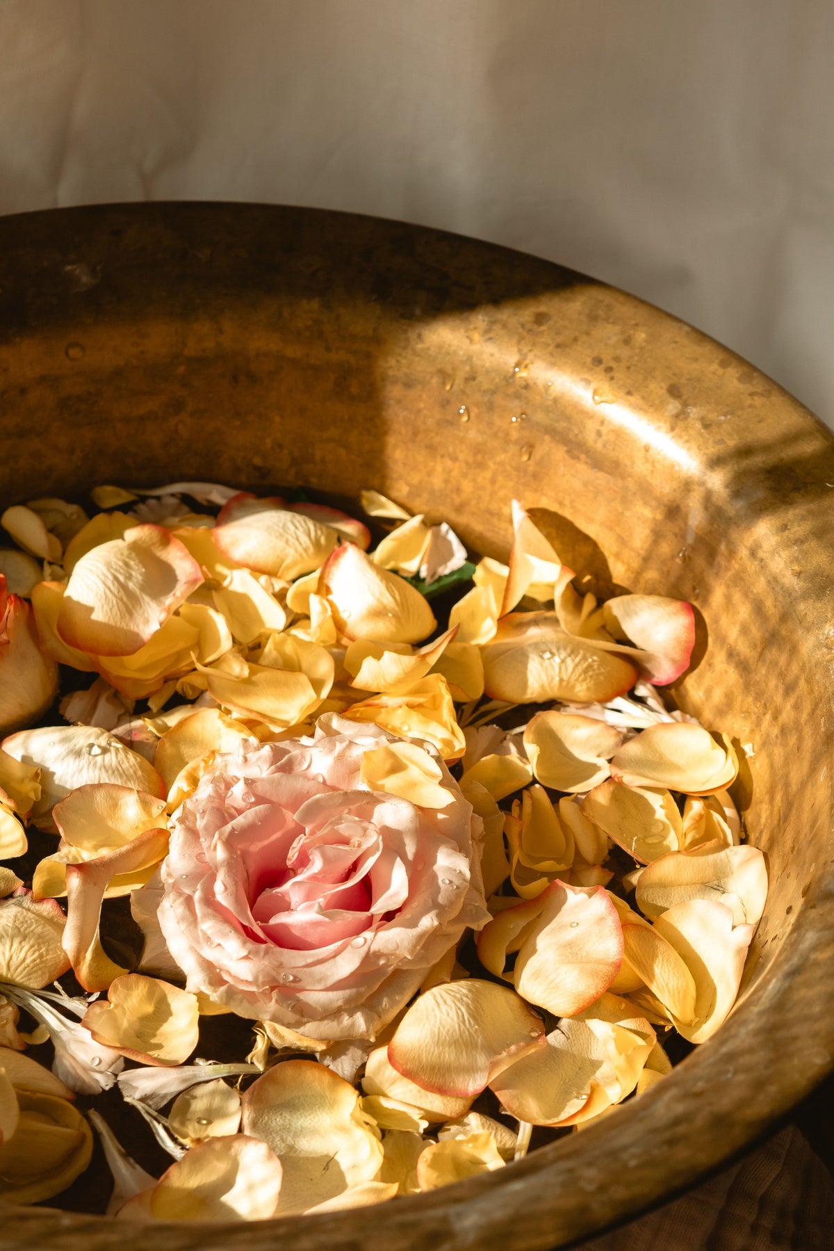 Taça com água e pétalas de rosa num ritual de banho.